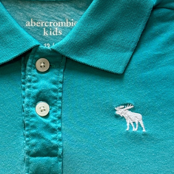 Abercrombie Kids Polo- Ombré Green and White- Size 13/14 - Picture 3 of 15